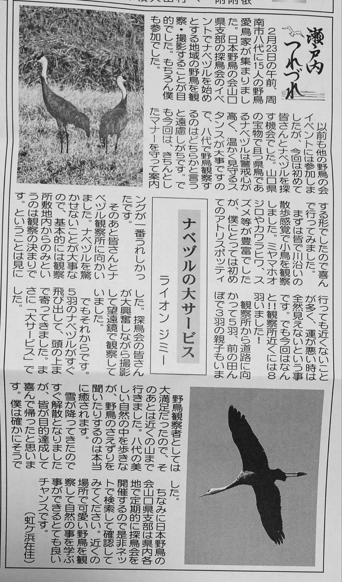 A picture of this story printed in a Japanese newspaper.